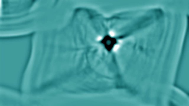 Human cell mitosis, dividing. Initial state of embryo in pregnancy. Microorganism close up.