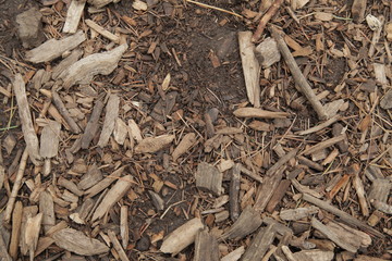 bark in mud 1