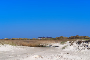Panoramic view over the grass covered sand at building complex in the distance