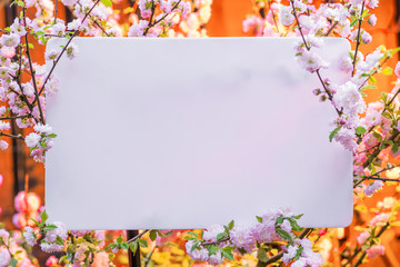 Paper blank between flowering almond branches in blossom. Pink flowers as a frame.