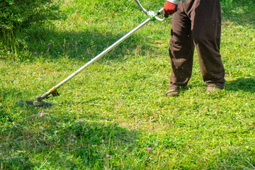 The gardener cutting grass by lawn mower, lawn care