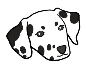 Dalmatiam Dog head