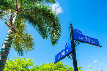 Fototapeta premium South Miami Cityscape