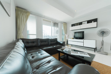 Luxury nicely decorated modern living room