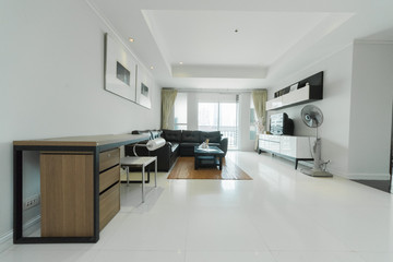 Luxury nicely decorated modern living room