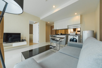 Luxury nicely decorated modern living room