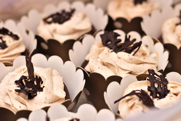 beautiful chocolate cream covered cupcakes in a white box tied with a rope on a concrete background