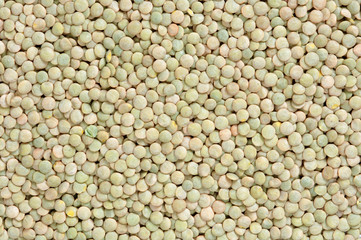 dried lentil ground