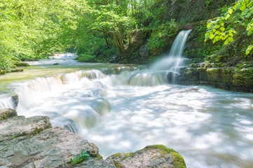 Eine Wasserfall Landschaft im Wald mit Bäumen am Fluss im Frühling