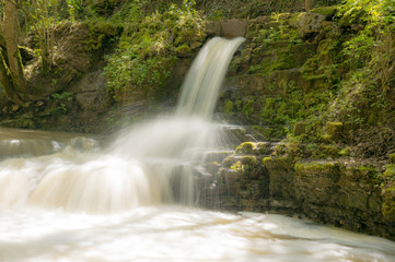 Obraz premium Eine Wasserfall Landschaft im Wald mit Bäumen am Fluss im Frühling