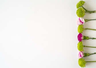 Flatlay photo of leaves and flowers in white background. Top view.