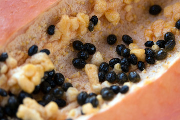 Papaya (Carica papaya) is an exotic, tasty, sweet fruit. Fruit of melon (bread) tree. Papaya seeds are edible and can be a cure. Close-up.