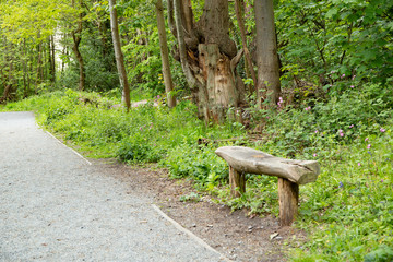 Obraz na płótnie Canvas bench in the park 4