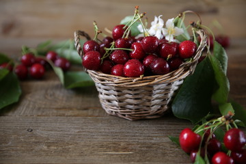 Fototapeta na wymiar fresh organic cherries in a wicker basket with leaves and white flowers on the wooden rustic background. Healthy food concept. Closeup.