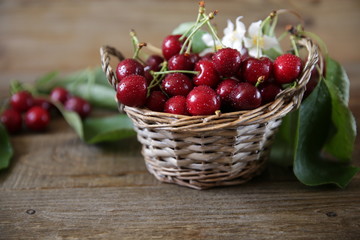 Fototapeta na wymiar fresh organic sweet cherries in a wicker basket with leaves and white flowers on the wooden rustic background. Healthy food concept. Closeup.