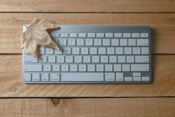 HOJA OTOÑAL SOBRE TECLADO