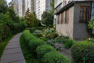 Flowers near the house