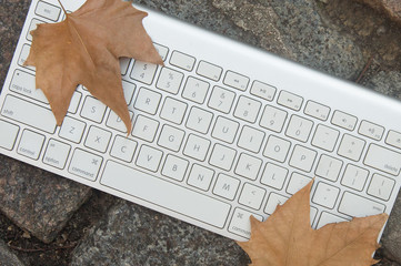 HOJAS DE OTOÑO SOBRE TECLADO