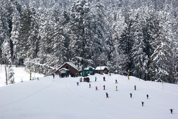 tourists skiing in Gulmarg during winter. 