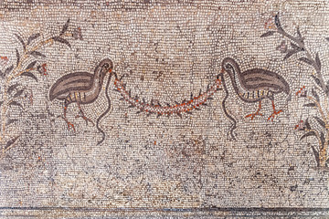 floor mosaic of the fifth century AD in the church of the Multiplication of the loaves and fishes, Tabgha, Israel