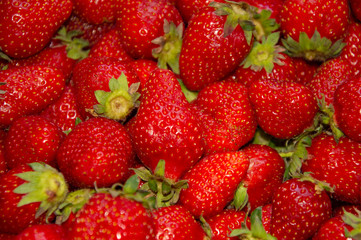 fresh strawberries 