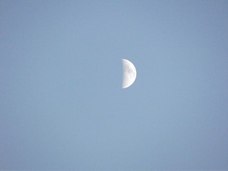 half moon in the sky in the evening 