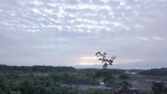 Lonely tree demonstrates impact deforestation and logging in rainforest (aerial view) of Amazon in South America where most of the forest is in the world. Shot on mavic pro with skylight touching land