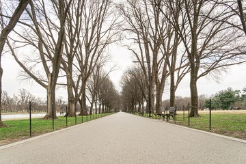 Catching for success, asphalt road has trees beside the road in fall.