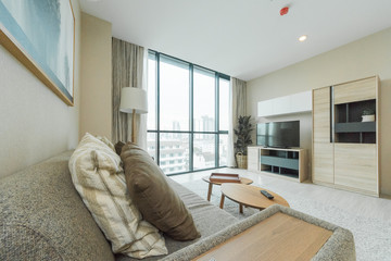 Modern living room interior