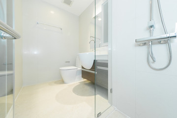 Obraz na płótnie Canvas bathroom with a beautiful interior .