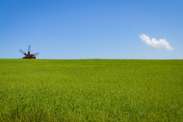 Mill in a green field