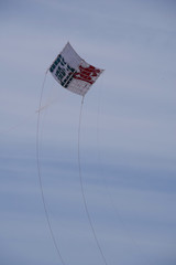 Obraz premium 2019年令和元年座間市大凧大空を舞う 相模川 飛ぶ