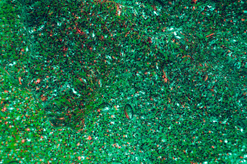 Mint slime with glittering multicolor particles