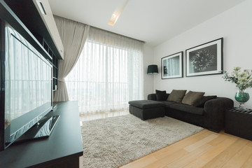 Modern living room interior