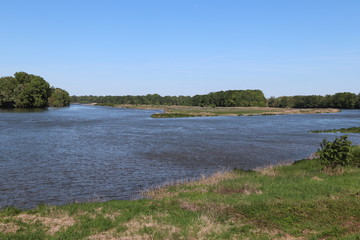 Loiret - Sandillon - Vue sur l'ile aux oiseaux