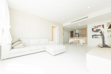 Fototapeta na wymiar Big and bright interior of modern living room