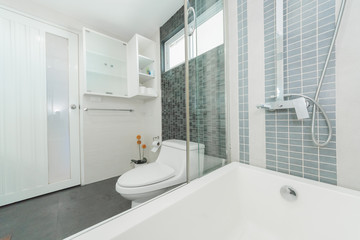 White toilet bowl in the bathroom. 