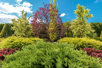Beautiful Backyard Garden Plants