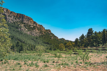 Spanish scenery,hills and blue sky. Mediterranean landscape, woods and mountains. Pines.