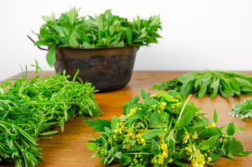 Korb mit Wildkr&auml;uter Heilkr&auml;uter nach einer Kr&auml;uterwanderung im Wald und Wiesen