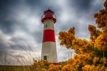 Sylt - The most beautiful island of Germany