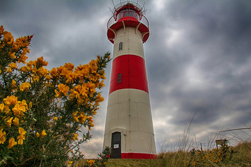 Sylt - The most beautiful island of Germany