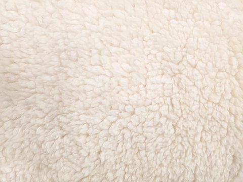 close up of light beige fuzzy fur background