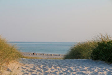 Sylt - The most beautiful island of Germany