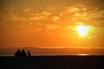 Sylt - The most beautiful island of Germany