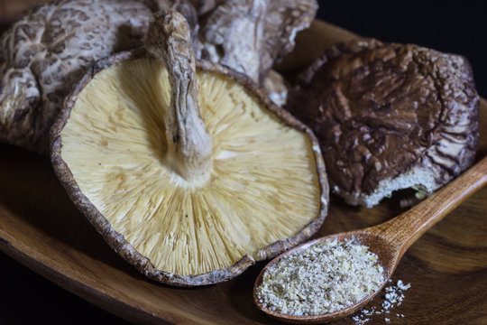 diried shiitake mushroom