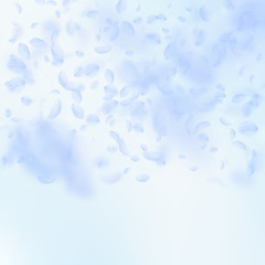 Light blue flower petals falling down. Optimal rom