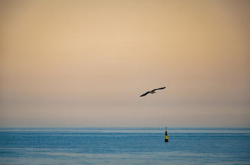Seascape, view of sea horizon and sky at sunset