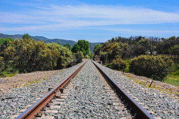 Fototapeta premium Railway line crossing a natural landscape with vegetation and a cloudy sky on the background