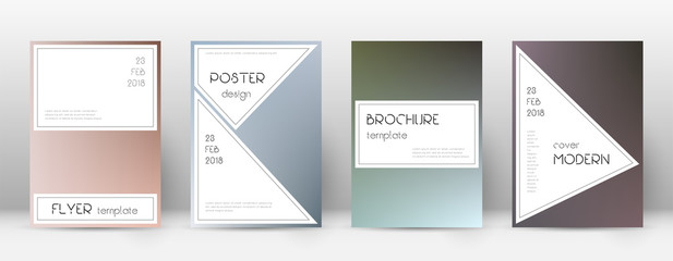 Flyer layout. Stylish alluring template for Brochu